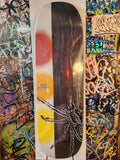 Fixer Skateboards Decks