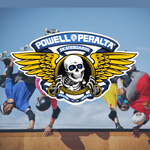 Powell Peralta Re-Issue Deck