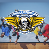 Powell Peralta Re-Issue Deck